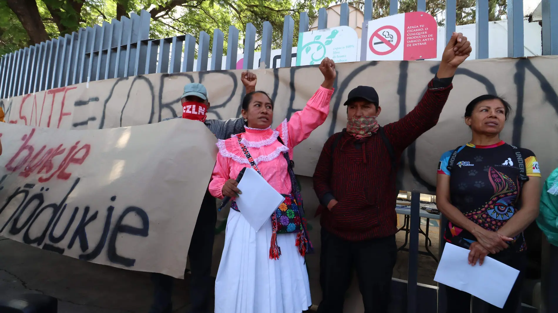 manifestación 1